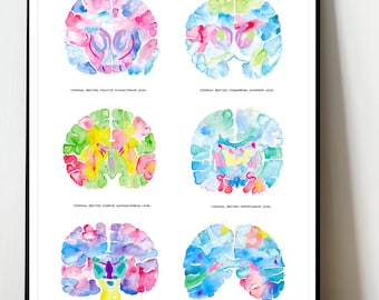 Brain Art, Brain Anatomy, Neuroscience Gift, Nervous System, Neurology Art, Neurologist Gift, Neurology Print, Neuroscience Art