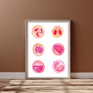Weisse Blutkörperchen - Labor Kunst, Hämatologie Kunst, Pathologie Kunstwerk, Hämatologen Geschenk,Immunologe Geschenk, Wissenschaftsdruck, Biologie Geschenke