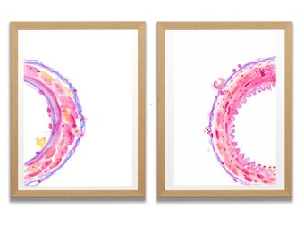 Artery and Vein Histology Art - Pathology Office Wall Decor Print