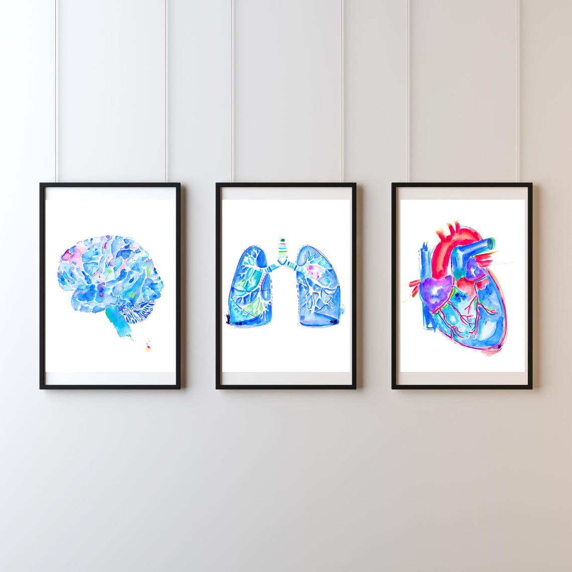 Watercolor Anatomy Art Print Set – Medical Office Decor - Etsy
