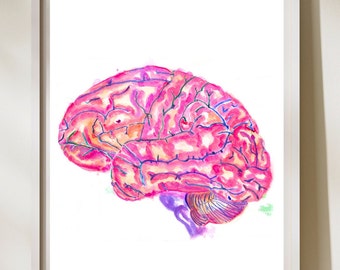 Brain Anatomy, Brain Watercolor Art, Neurology Neuroscience Psychiatry and Psychology Office Wall Art, Gift for Neurologist Psychiatrist