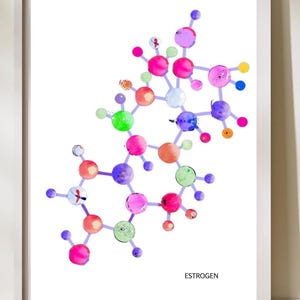 Estrogen, Hormone Art,  Gynecology Art, Oncology Gift, OBGYN Artwork, Gynecologist Gift, OBGYN Gifts, Menopause Art, Biochemistry Poster