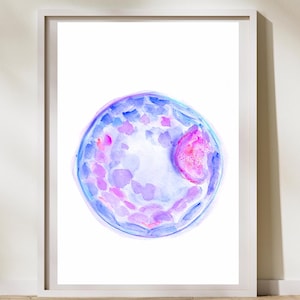 Blastocyst - Embryo Day 5 - OBGYN Art - IVF Art - Fertility Gift - Fertility Doctor Gift - Embryology Art - New Baby Gift - Obgyn Gift