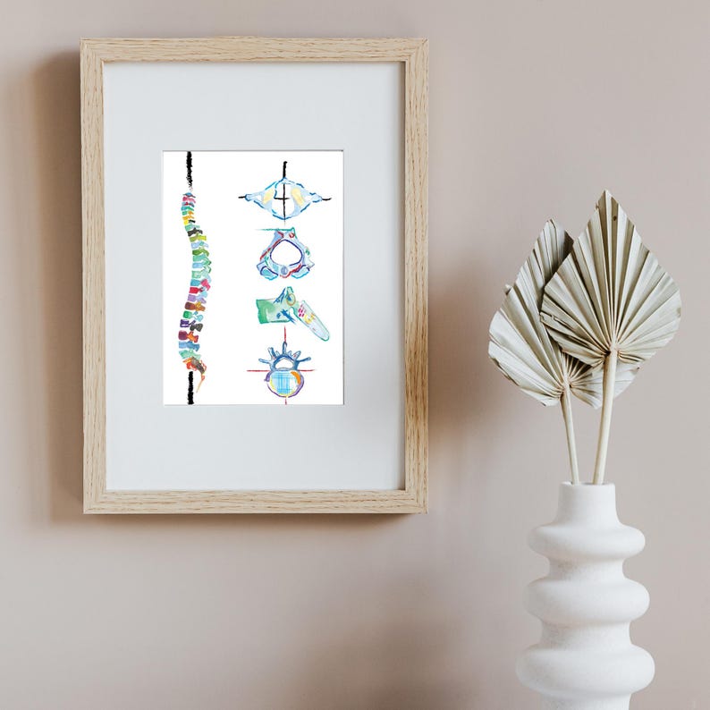 Spine Vertebrae Art, Physical Therapy Art, Chiropractic Art, Massage Therapy Art, Physiotherapy Chiropractic Posters, Chiropractor Gift image 9