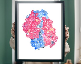 Hemoglobin Molecule, Hgb Structure, Hematology Print, Molecular Biology Art, Physiology Artwork