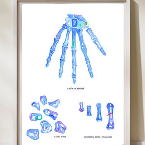 Hand Anatomy, Orthopedic Art, Radiology Art, Hand Surgery, Hand Surgeon Gifts, Hand Anatomy Poster, Anatomical Art Print