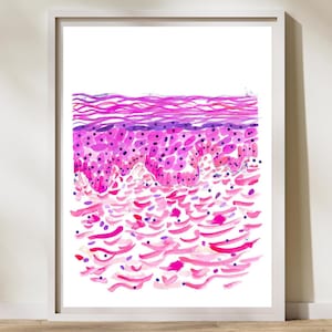 SKIN- Epidermis Histology Art - Dermatology Art Decor, Dermatologist Gift, Esthetician Gift, Cosmetology, Cosmetologist Gift, Pathology Art