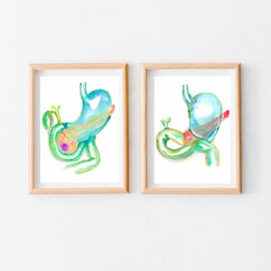 Puede incluir: Dos impresiones en acuarela enmarcadas del estómago humano. La obra presenta una colorida representación del estómago en tonos azules, verdes, amarillos y rojos. Los marcos son de madera clara.