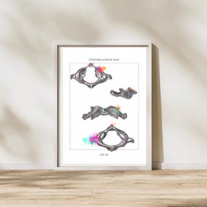 Vertebra Anatomy, Chiropractic Art, Physical Therapy Artwork, Gift for Chiropractor Assistant Student, Neck Pain, Cervical Vertebra Drawing