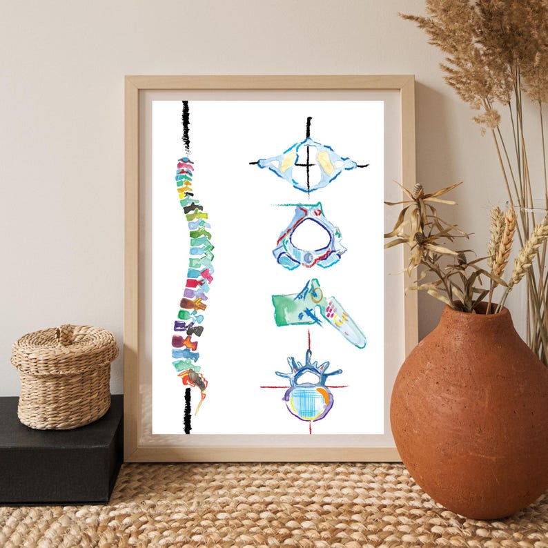 Spine Vertebrae Art, Physical Therapy Art, Chiropractic Art, Massage Therapy Art, Physiotherapy Chiropractic Posters, Chiropractor Gift image 6