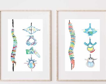 Spine Anatomy Art Print - Set of Two, Chiropractic Artwork, Physical Therapy Wall Decor, Vertebrae