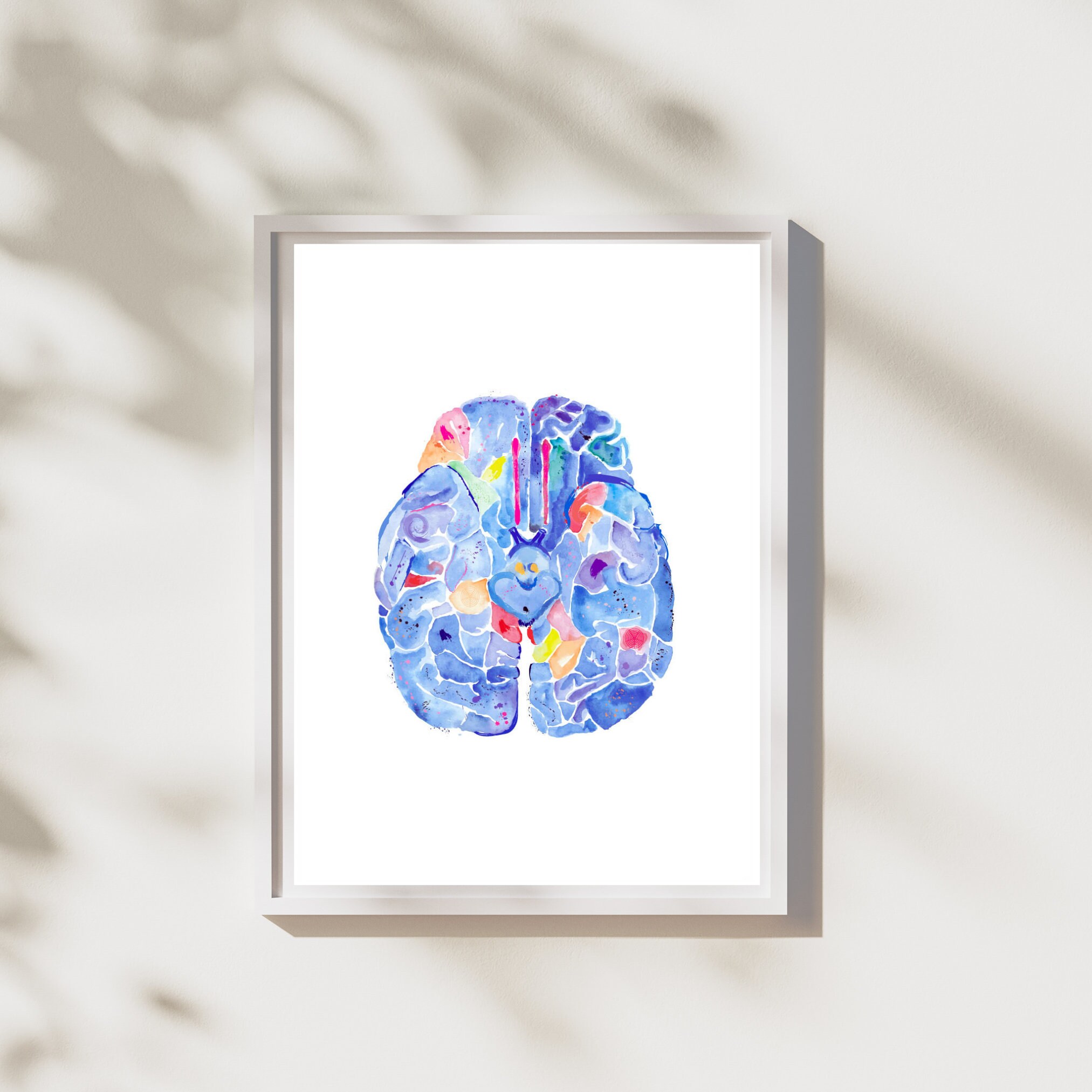 Brain Anatomy Watercolor Art Print, Neurology Office Decor - Etsy