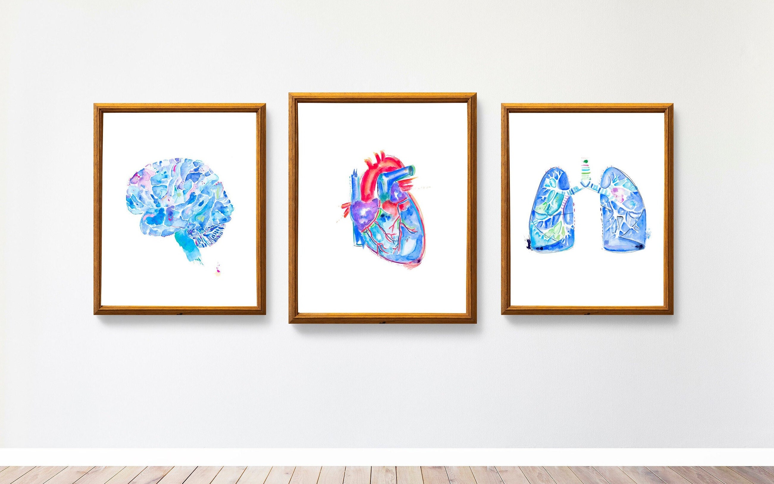 Watercolor Anatomy Art Print Set – Medical Office Decor - Etsy