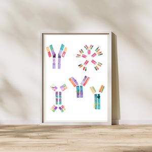 Immunoglobulins, Immunology Art, Molecular Biology Art, Microbiology Art, Antibody Art, Science Artwork