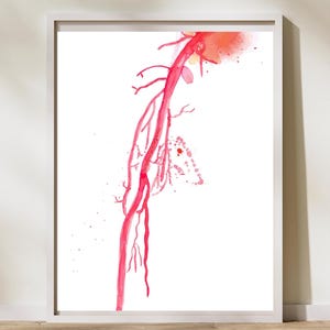 Puede incluir: Una pintura de acuarela de una ilustración anatómica roja de una arteria humana. La arteria se representa de forma realista con venas ramificadas y un fondo rojo de acuarela.