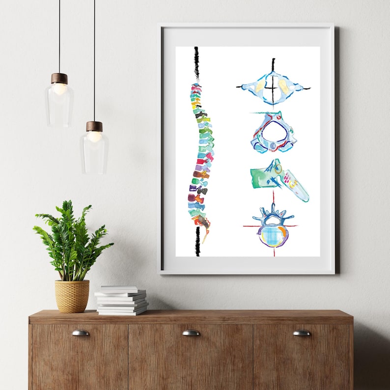 Spine Vertebrae Art, Physical Therapy Art, Chiropractic Art, Massage Therapy Art, Physiotherapy Chiropractic Posters, Chiropractor Gift image 8