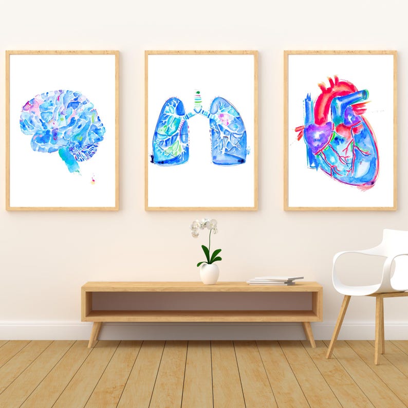 Watercolor Anatomy Art Print Set – Medical Office Decor - Etsy