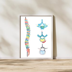 Spine Anatomy Art, Chiropractic Art, Physical Therapy Artwork, Chiropractor Gift, Physical Therapist Gift, Rehabilitation Art, Pilates Art