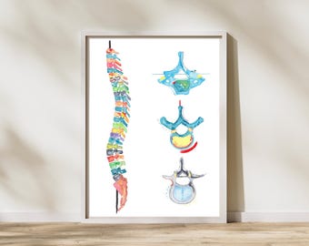 Spine Anatomy Art - Chiropractic and Physical Therapy Office Decor, Chiropractor and Physiotherapist Gift