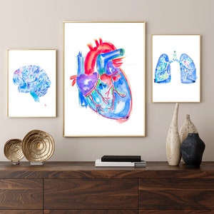 Clinic Art - Heart Lung Brain Anatomy Art Print, Gift for Physician Assistant Medical Doctor Nurse Graduation, Medical Office Decor