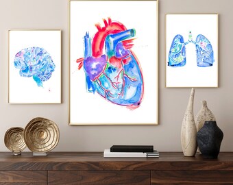 Kliniek kunst - hart long hersenen anatomie Art Print, cadeau voor arts-assistent arts verpleegkundige afstuderen, medisch kantoor decor