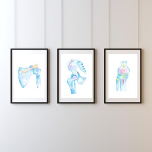 Physical Therapy Art, Physiotherapy Art, Chiropractic Wall Art, Physical Therapy Gifts, Chiropractic Gift, Chiropractor Art, Medical Artwork image 5