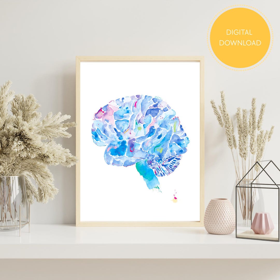Brain Anatomy Watercolor Art Digital Download - Etsy