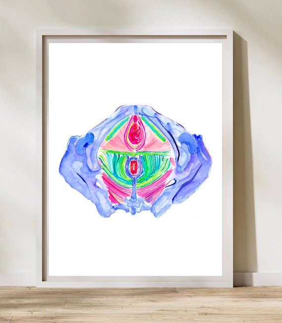 Pelvic Floor Anatomy, Pelvic Floor Therapy, Physical Therapist Gift, Pelvic Floor Specialist Gift, Physical Therapy Office Art, PT Art