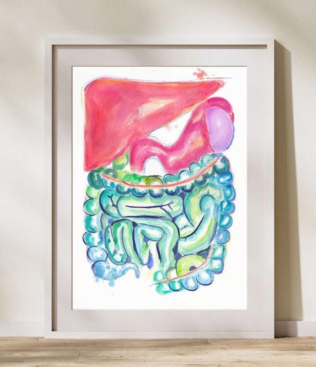 Gastroenterology Gifts, Medical Art, Digestive System Anatomy, Liver ...