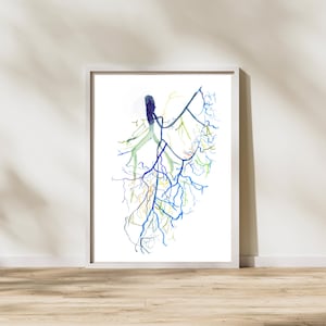 May include: A framed wall art print featuring a watercolor illustration of a human lung structure. The artwork displays a central bronchial tree branching out into delicate, intricate pathways in shades of blue, green, and yellow on a white background.