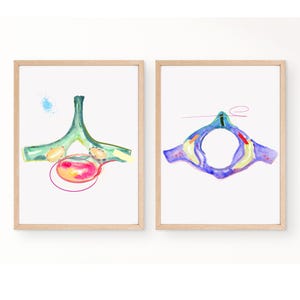 Vertebrae Art, Chiropractic Art, Chiropractic Office Decor, Gift for Chiropractor Assistant, Chiropractic Graduation Gift