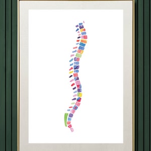 Spine Print Anatomy Art Print Medical Art Spine Art Print Chiropractor Art Chiropractor Gift Physical Therapy Therapist Art image 2