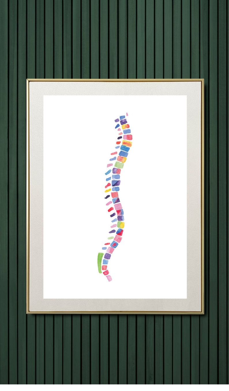 Spine Print Anatomy Art Print Medical Art Spine Art Print Chiropractor Art Chiropractor Gift Physical Therapy Therapist Art image 2