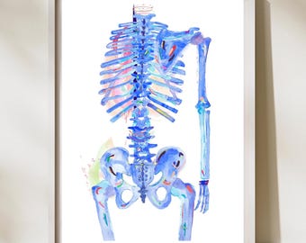 Skeleton Art, Human Anatomy Art Print, Chiropractic Poster, Physical Therapy Gifts, Chiropractor Gift, Osteopathe Art, Massage Therapy Art