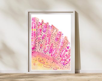 Colon Histology Art Print Gastroenterology and Pathology Watercolor Artwork