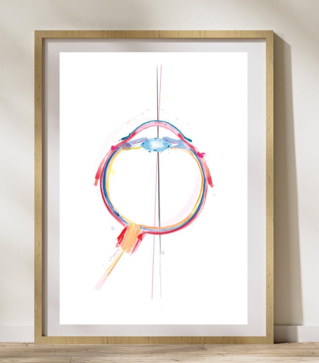Eye Anatomy, Optometry Art, Ophthalmology Art, Eye Doctor Gift ...