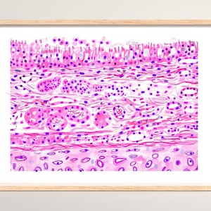 Bronchial Wall Histology, Histopathology Art, Pathologist Gift, Pathology Assistant Gift, Pulmonary Histology, Pathology Office Art