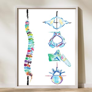 Kunst wervelkolom wervels, kunst fysiotherapie, chiropractie kunst, massagetherapie kunst, fysiotherapie chiropractie posters, chiropractor cadeau