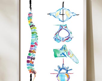 Spine Vertebrae Art, Physical Therapy Art, Chiropractic Art, Massage Therapy Art,  Physiotherapy Chiropractic Posters, Chiropractor Gift