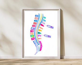 Anesthesie - ruggengraatblok versus epidurale kunstafdruk - wervelkolomanatomie