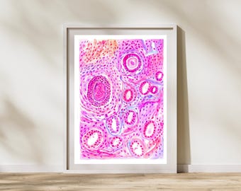 Ovarian Histology, Ovarian Follicle, Gynecologic Pathology Art, Histology Artwork, Pathologist gift