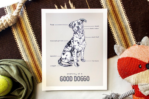 the gift of a great dog