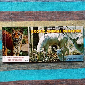 Buena Vista Exotic Animal Paradise-souvenirpostkaartalbum