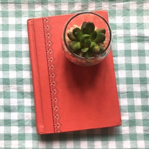 Könnte beinhalten: Ein rotes Hardcover-Buch mit einem dekorativen Rand auf dem Rücken. Ein kleiner Glasbehälter mit einer grünen Sukkulente steht auf dem Buch.