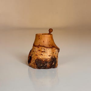 May include: A handcrafted wooden salt cellar with a small, round-topped spoon. The salt cellar is made from a section of a tree trunk, showcasing the natural bark and wood grain. The interior is smooth and light-colored.