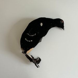Old black grouse decoy art object