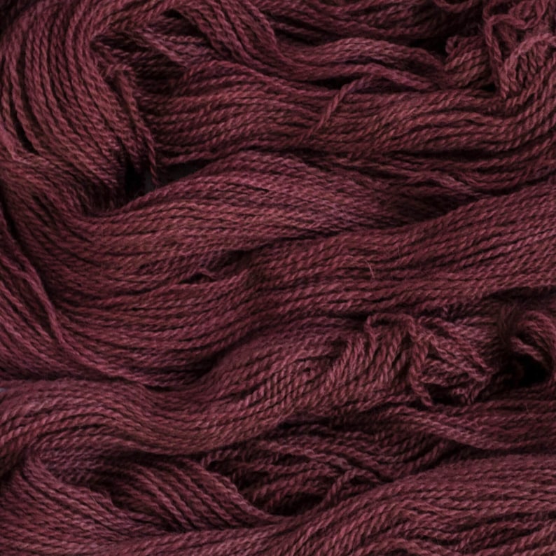 non-superwash 260 yards Dk weight yarn Tern DK Barberry 2 ply BFLMasham 100 grams 7525