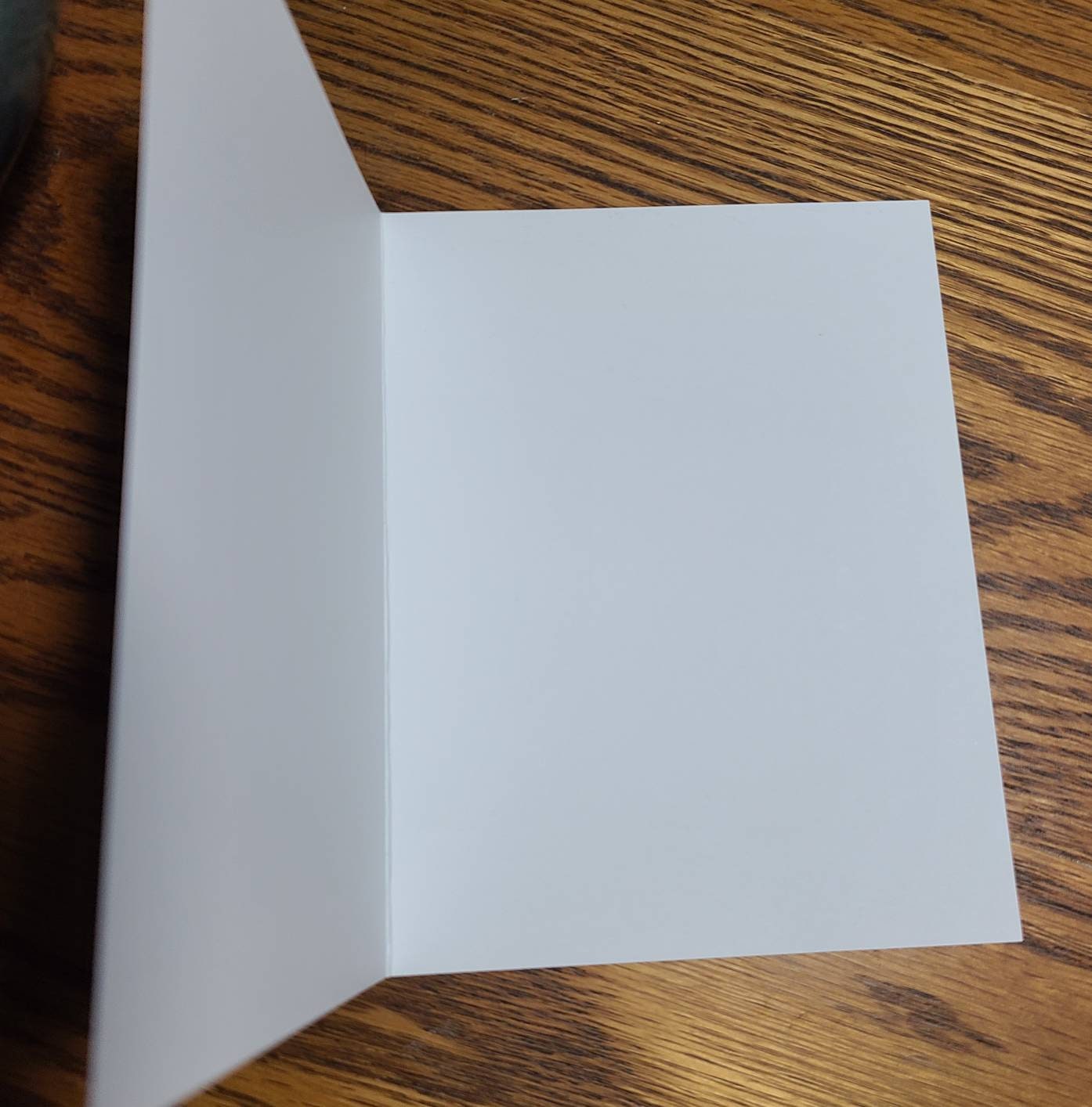 Bunch of Daisies (1 Blank Note Card With White Envelope) - Etsy