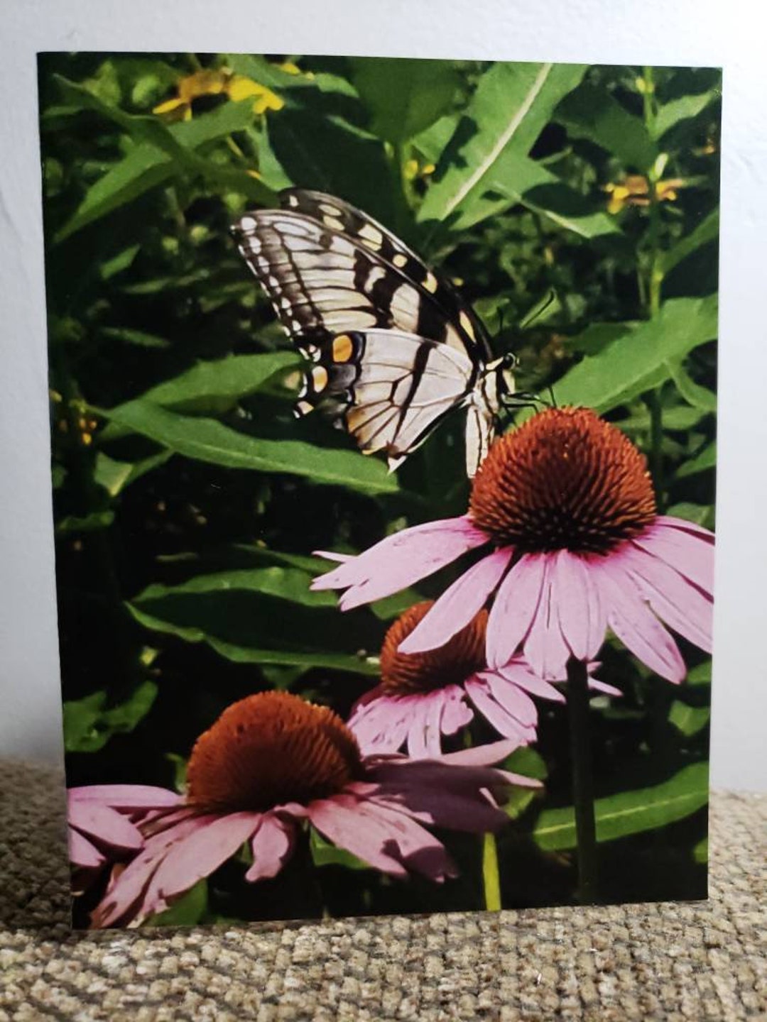 Eastern Tiger Swallowtail in July (1 Blank Note Card With White ...