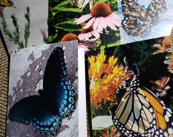 Assorted BUTTERFLY Note Cards (Boxed Set of 10 Blank Note Cards with Envelopes)